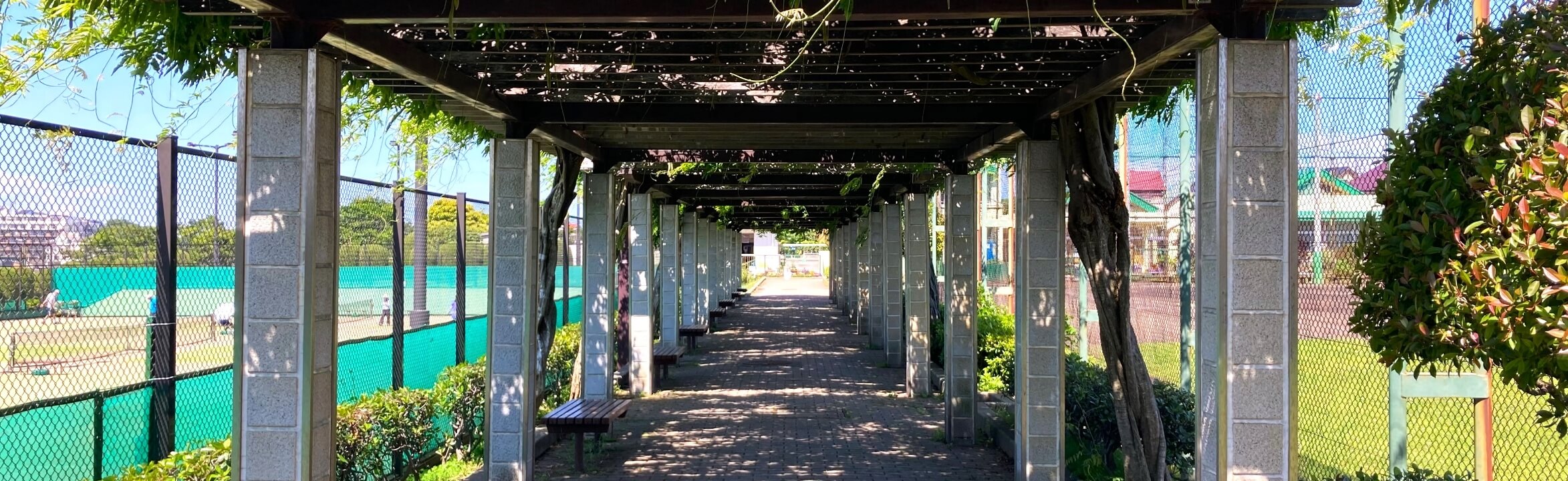 公園散策マップ