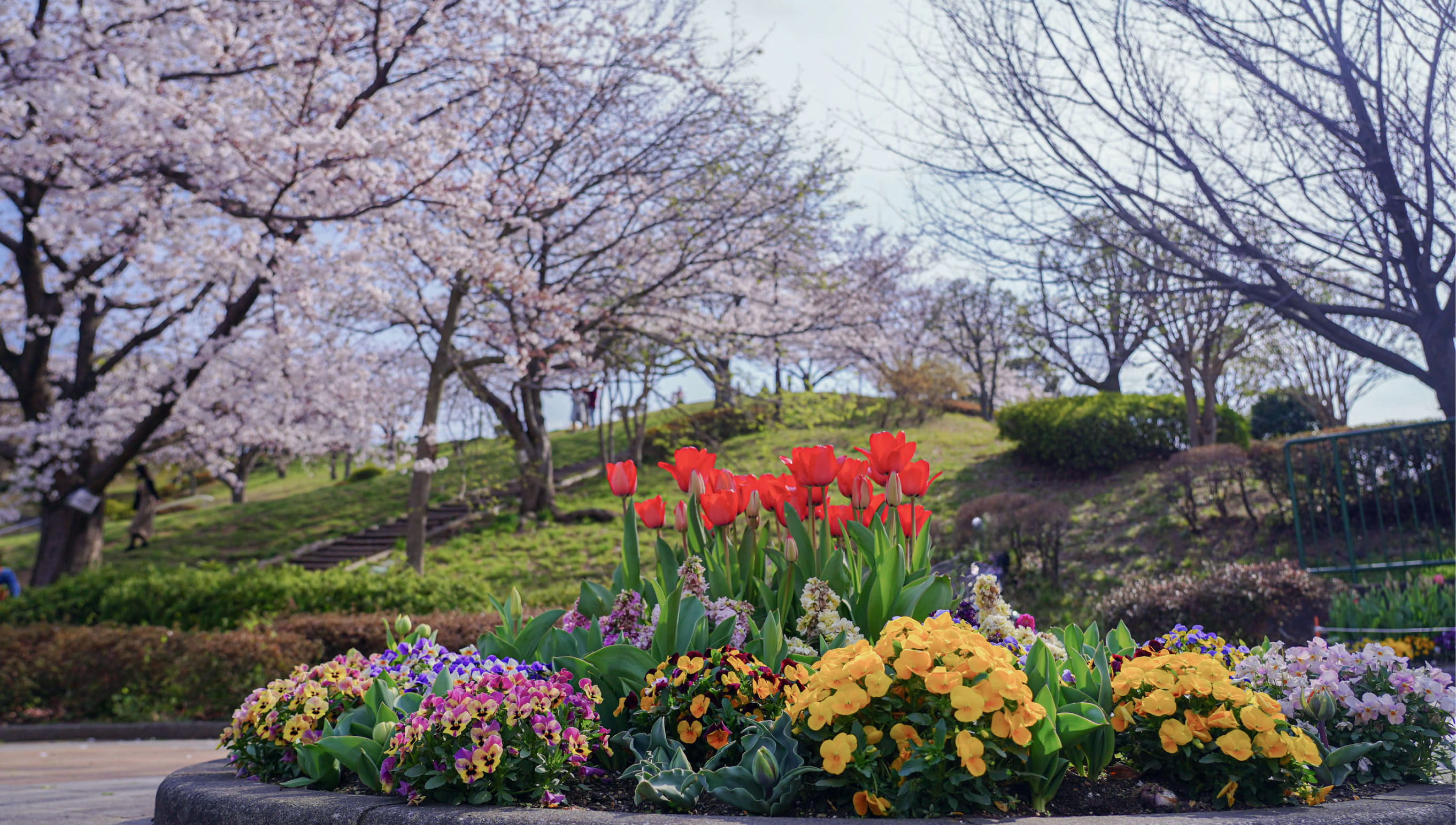 富岡西公園