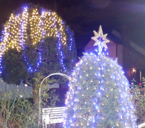 富西「ウインターイルミネーション」。公園へお越しください・・・。